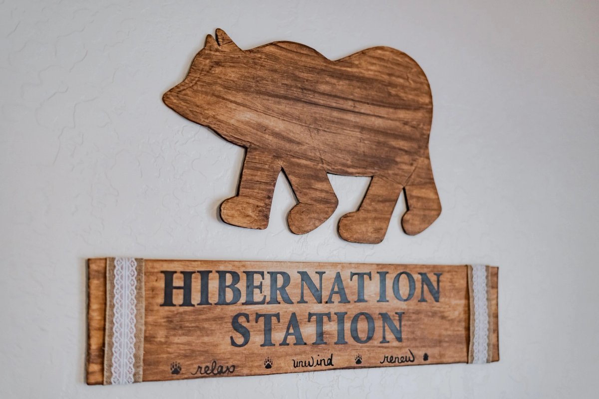 Hibernation Station, photo 1
